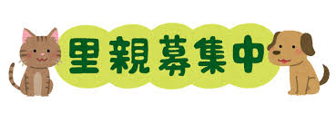 里親募集