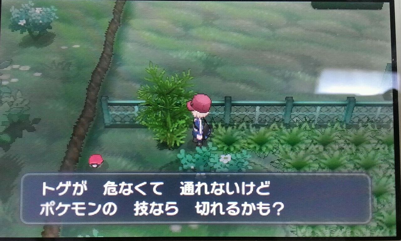 ポケモンの いあいぎり の英語名ｗｗｗｗｗ Vipワイドガイド