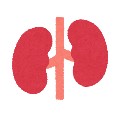 【注意喚起】「腎臓」のダメージは二度と回復しない。塩分は控えめにな。