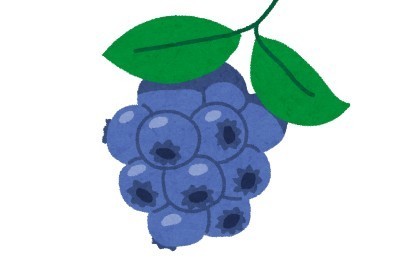 fruit_blueberry.jpg