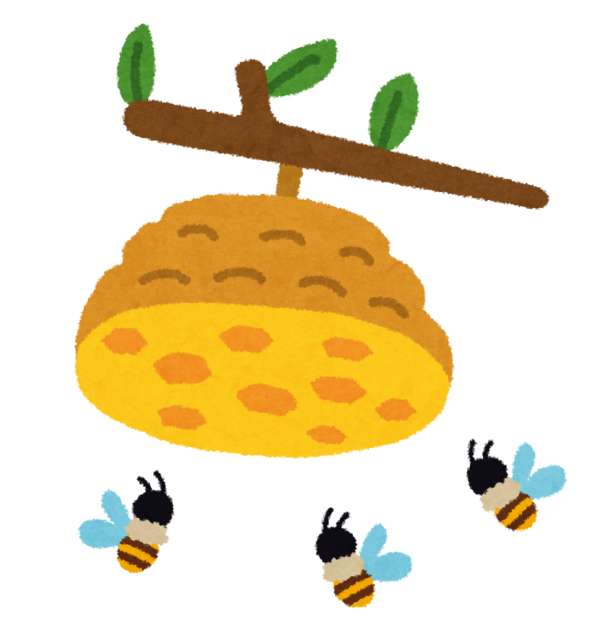 image.png