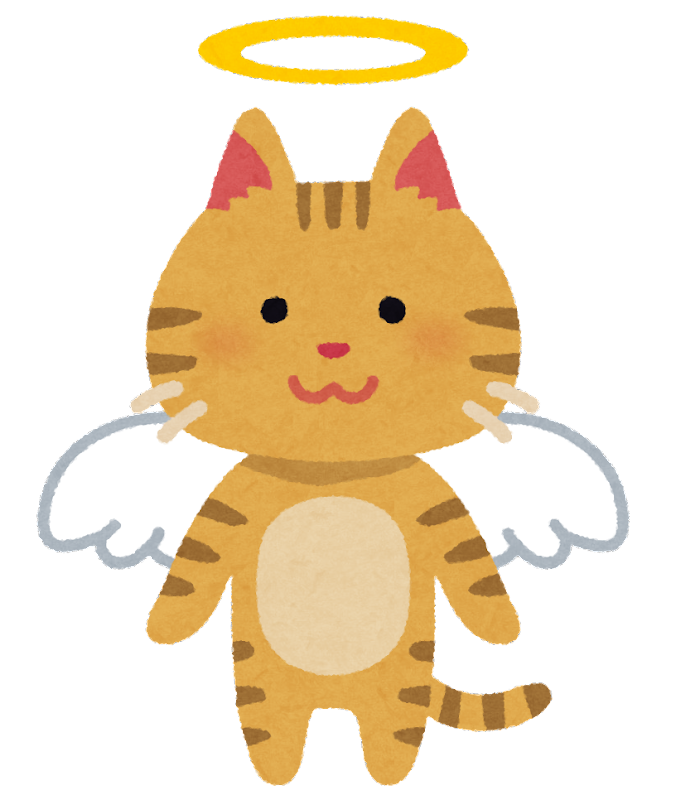 pet_angel_cat.png